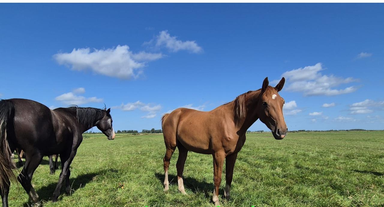 DON'T TOUCH CLEOPATRA PM