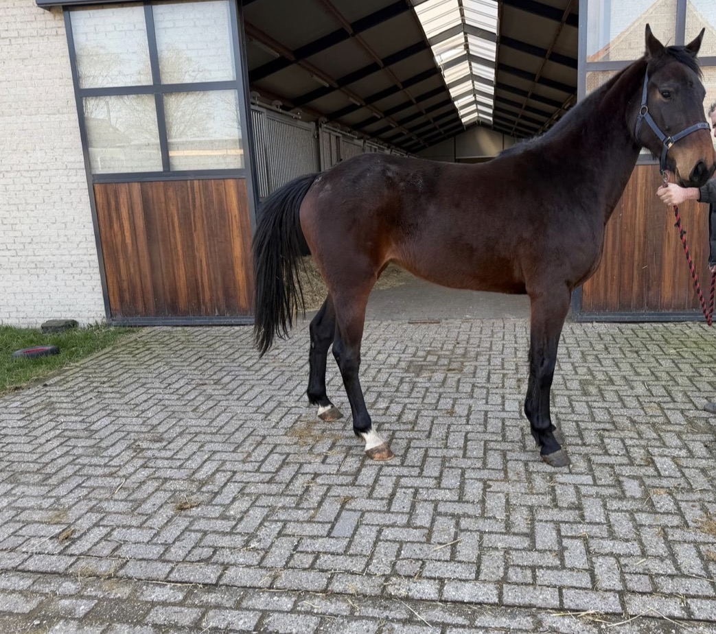 EVERYTHING, ALL AT ONCE PM 